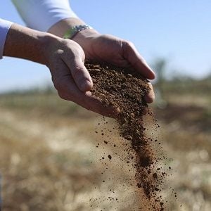 Rural Funds dismisses critical report from Bucephalus Research