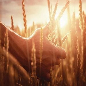 Nufarm to sell South American arm for $1.19 billion