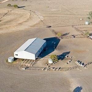 Government offers $500,000 loans to drought-hit farm businesses