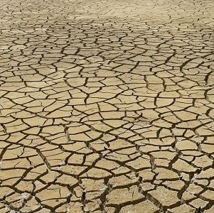 Australian business leaders the most pessimistic over climate change