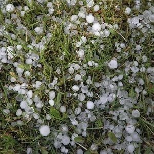 Hailstorm claims add up for Suncorp