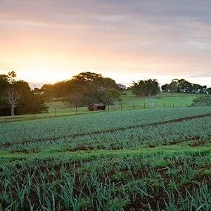 Tom and Emma Lane to sell The Farm in Byron Bay