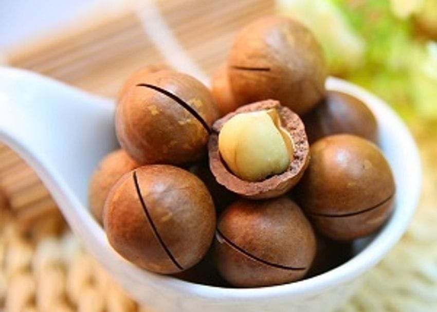 Aussie and South African macadamia growers unite under global brand Marquis