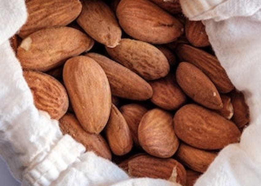 Select Harvests reports 40 per cent jump in almond shipments