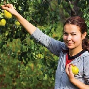 Visas to be extended for backpackers and seasonal ag workers Visas to be extended for backpackers and seasonal ag workers