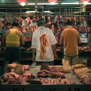 Australia calls for international action on wildlife wet markets Australia calls for international action on wildlife wet markets