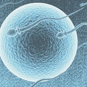 Monash IVF to raise $80 million as elective surgery ban is lifted