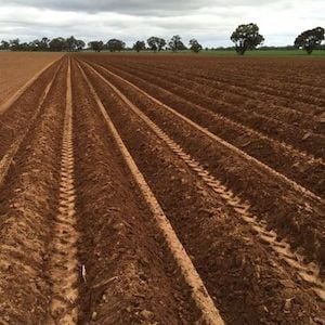 Primewest to sow seeds with $100 million investment plan for agriculture