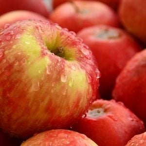 Breakthrough for Aussie barley and fruit exporters after Indian approvals