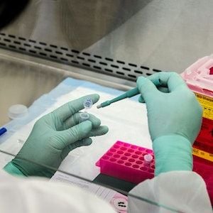 Federal Government to inject an extra $66 million into COVID-19 research Federal Government to inject an extra $66 million into COVID-19 research
