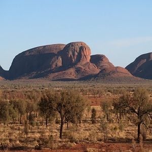 NT to reopen borders, COVID-19 "eradicated"