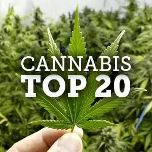 Australia's top 20 cannabis companies 2019
