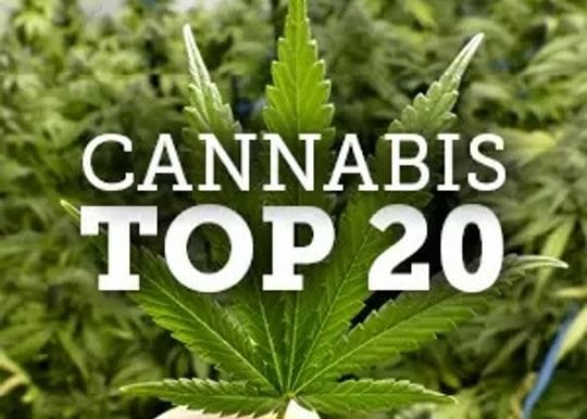 Australia's top 20 cannabis companies 2019