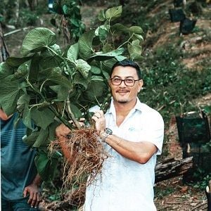 Fiji Kava shares on a high after Blackmores deal