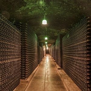 Treasury Wine shares fall as China opens investigation alleging Australian dumping