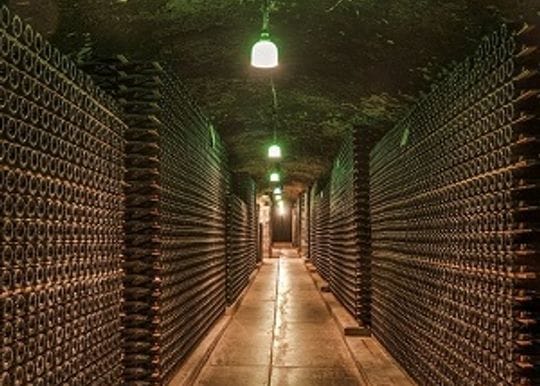 Treasury Wine shares fall as China opens investigation alleging Australian dumping