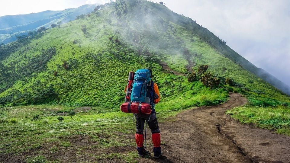 Travello buys Backpacker Deals, former Trip Advisor exec joins board