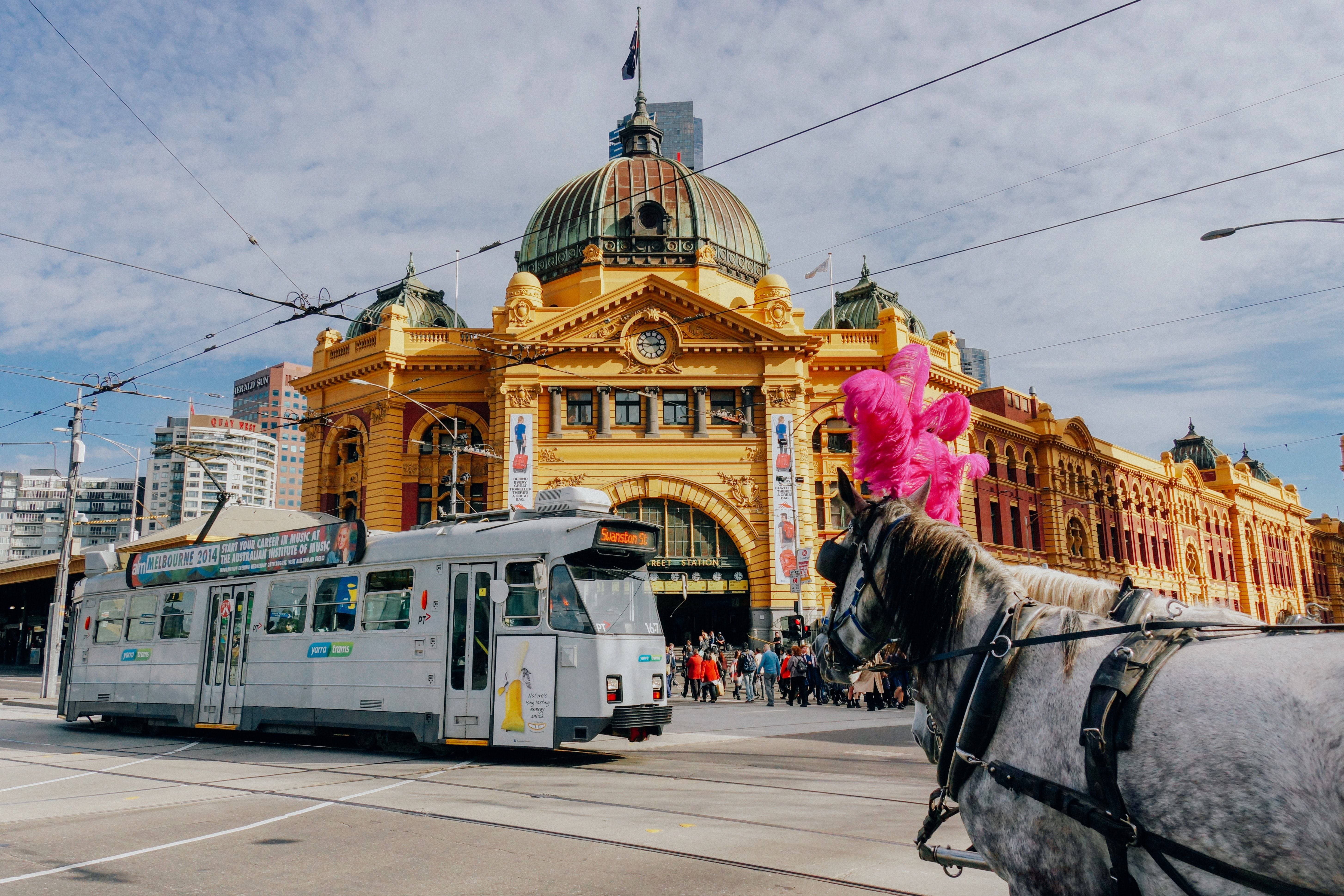 Victoria eases restrictions as state goes 24 days with no new cases Victoria eases restrictions as state goes 24 days with no new cases
