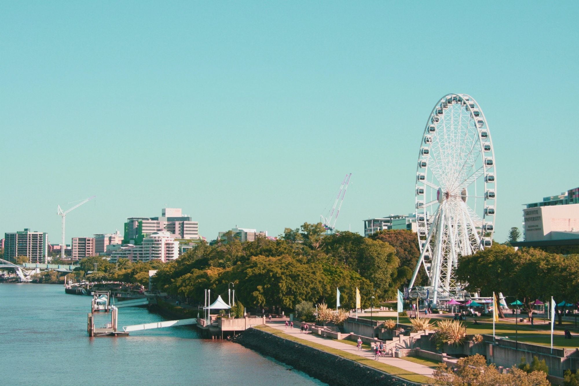 Queensland to open to Sydneysiders on 1 December Queensland to open to Sydneysiders on 1 December