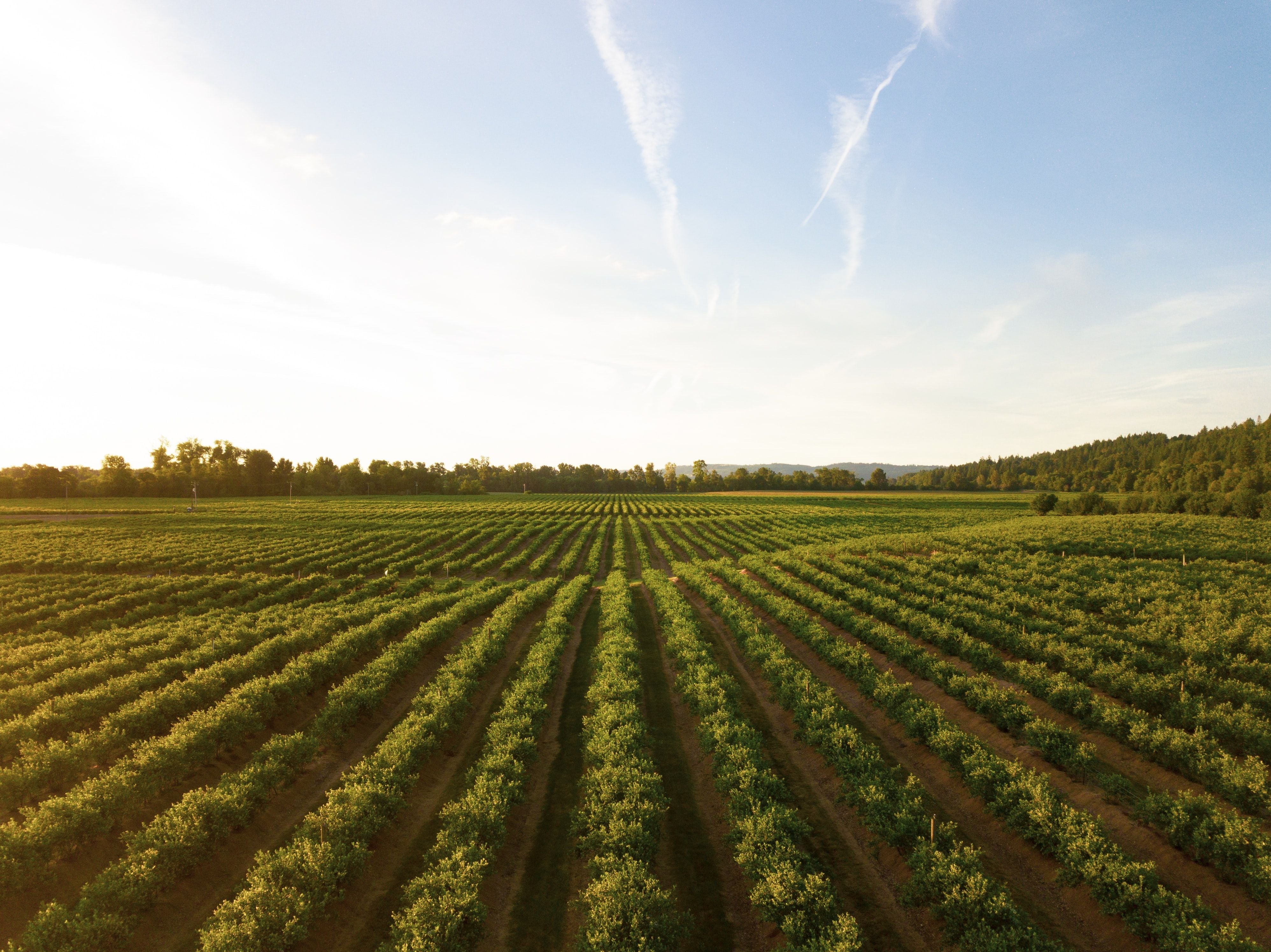 Primewest cultivating growth of funds with $55m raising