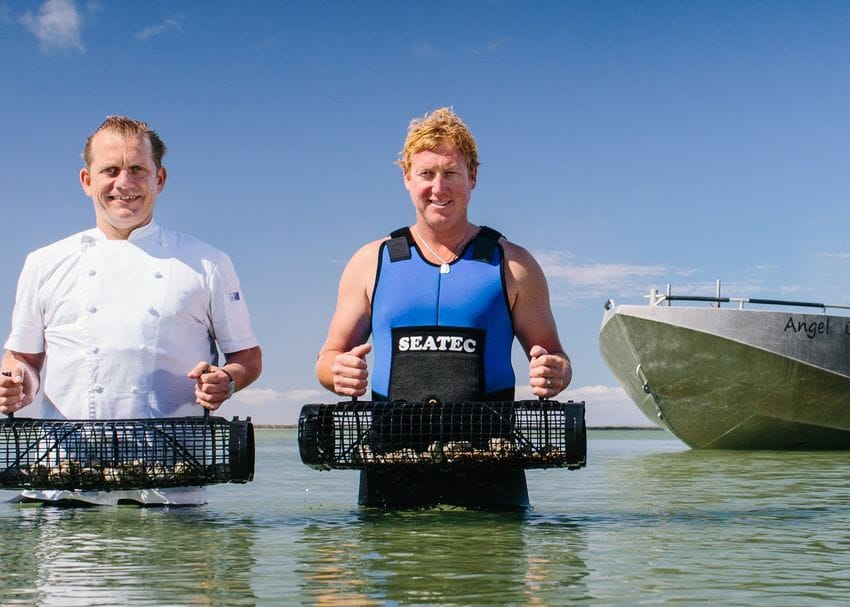 Angel Seafood cleaning up in our oceans one oyster at a time