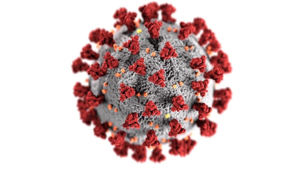 What's the difference between mutations, variants and strains? A guide to COVID terminology