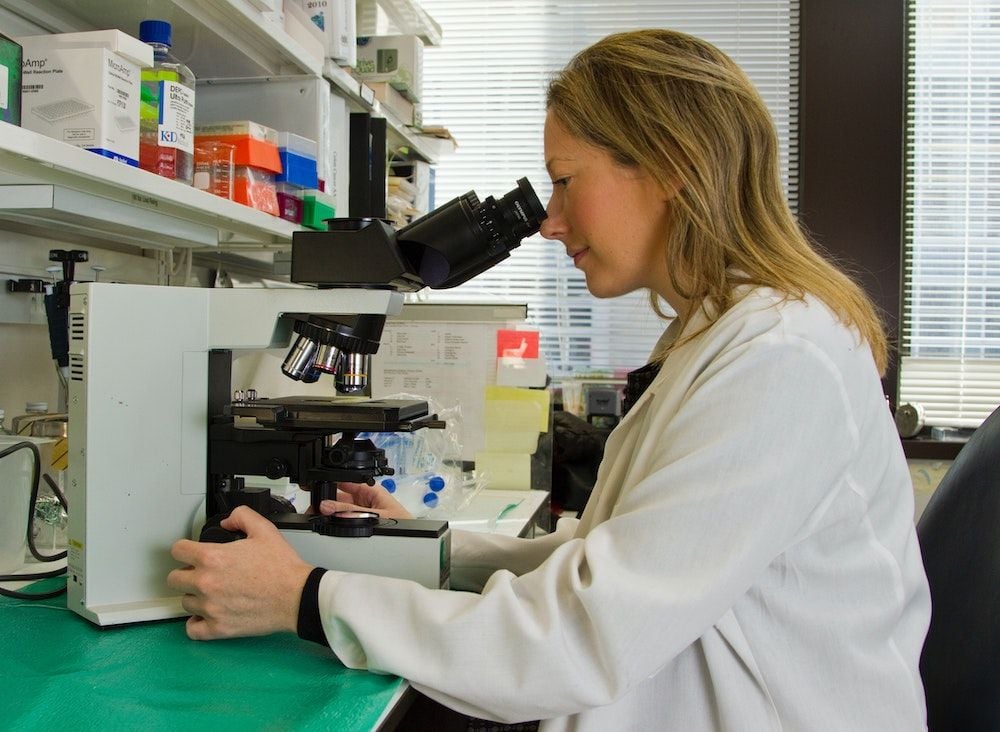Noxopharm study results herald "new era" for prostate cancer treatment