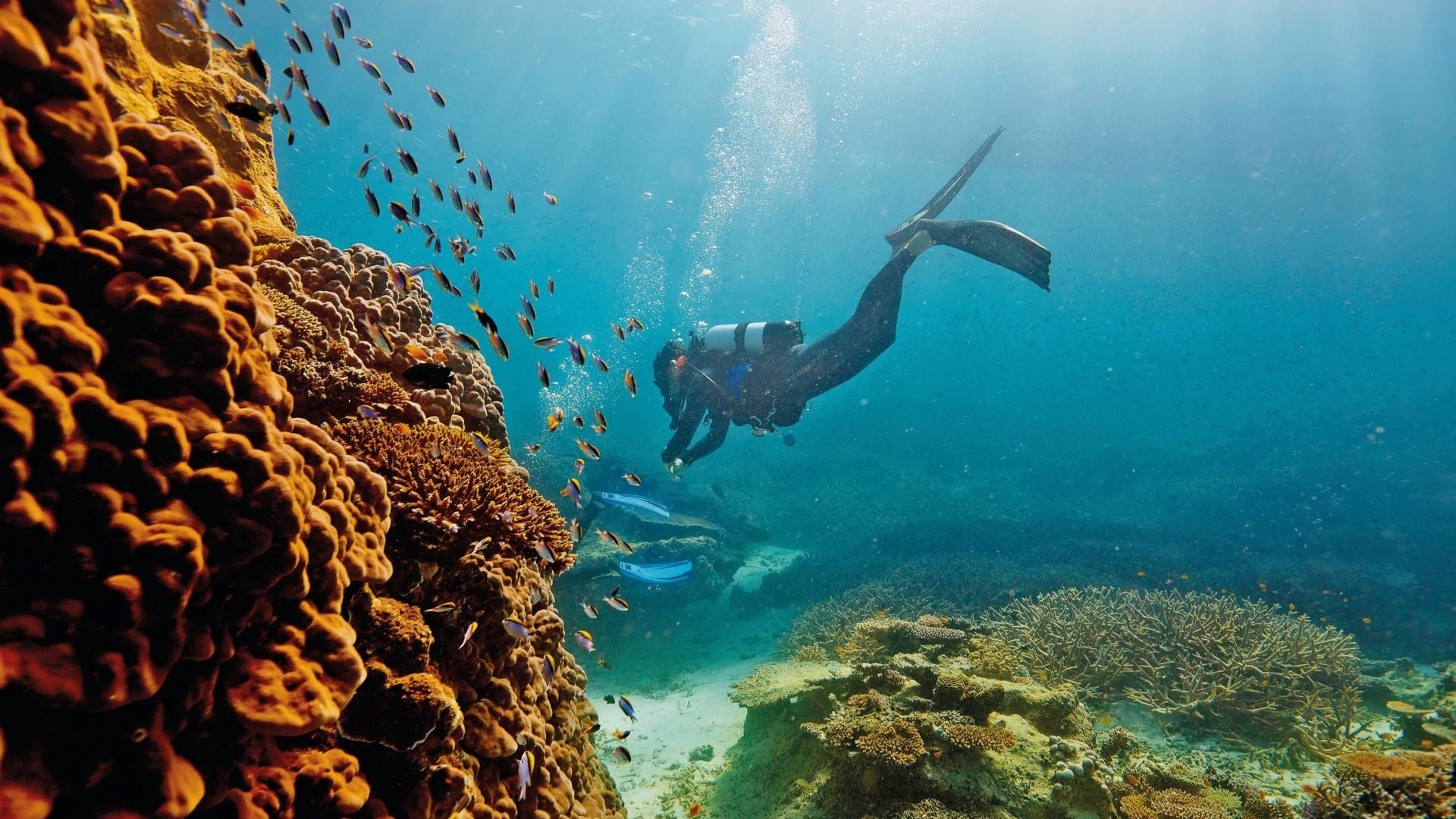 QLD offers $200 vouchers to boost Far North tourism QLD offers $200 vouchers to boost Far North tourism