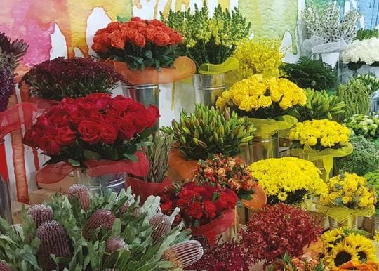 Australia's largest floral wholesaler Lynch Group buds on the ASX