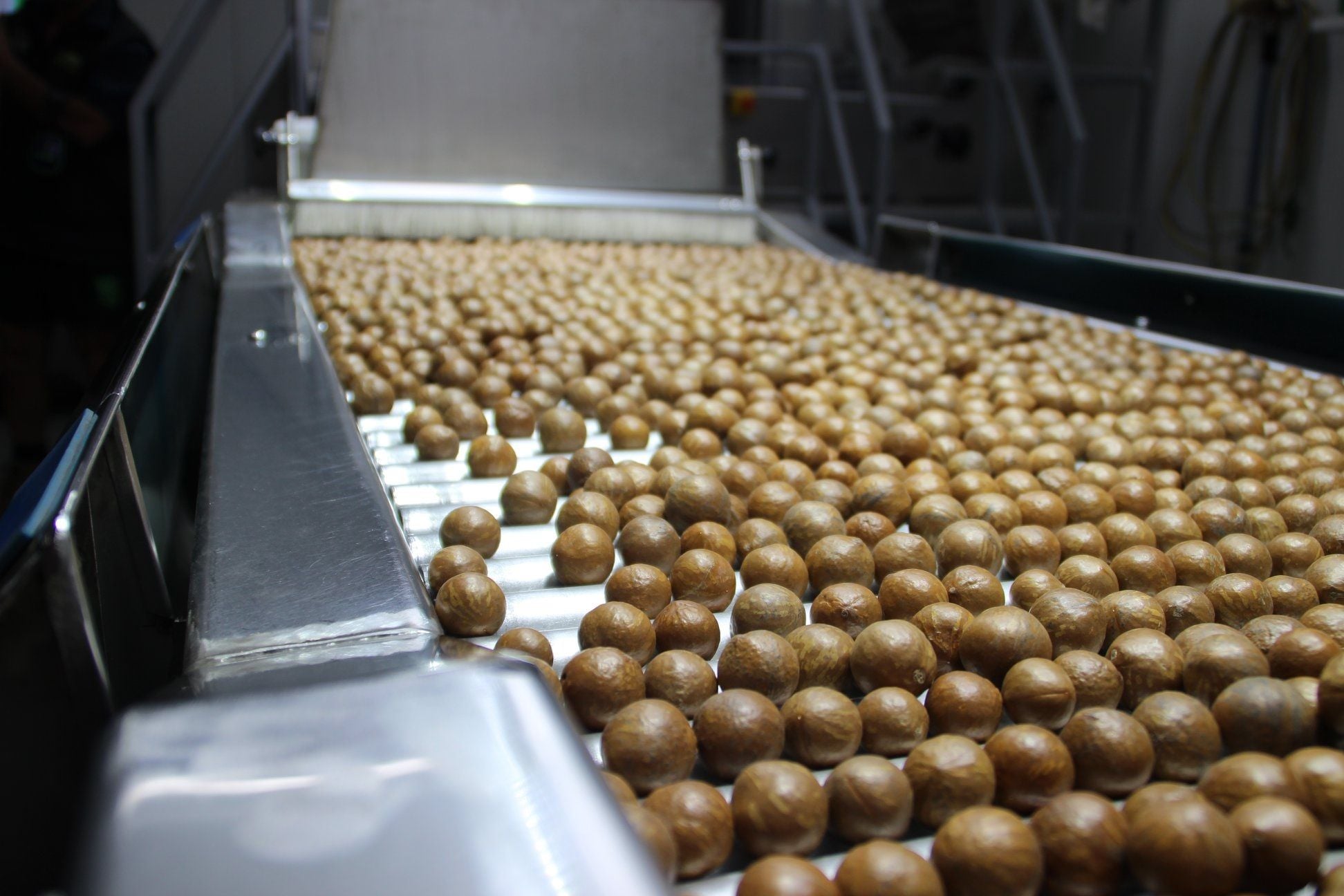 Marquis Macadamias to give Bundaberg factory a $13.3m facelift