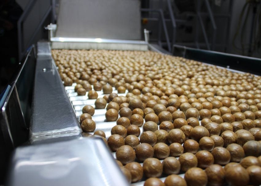 Marquis Macadamias to give Bundaberg factory a $13.3m facelift