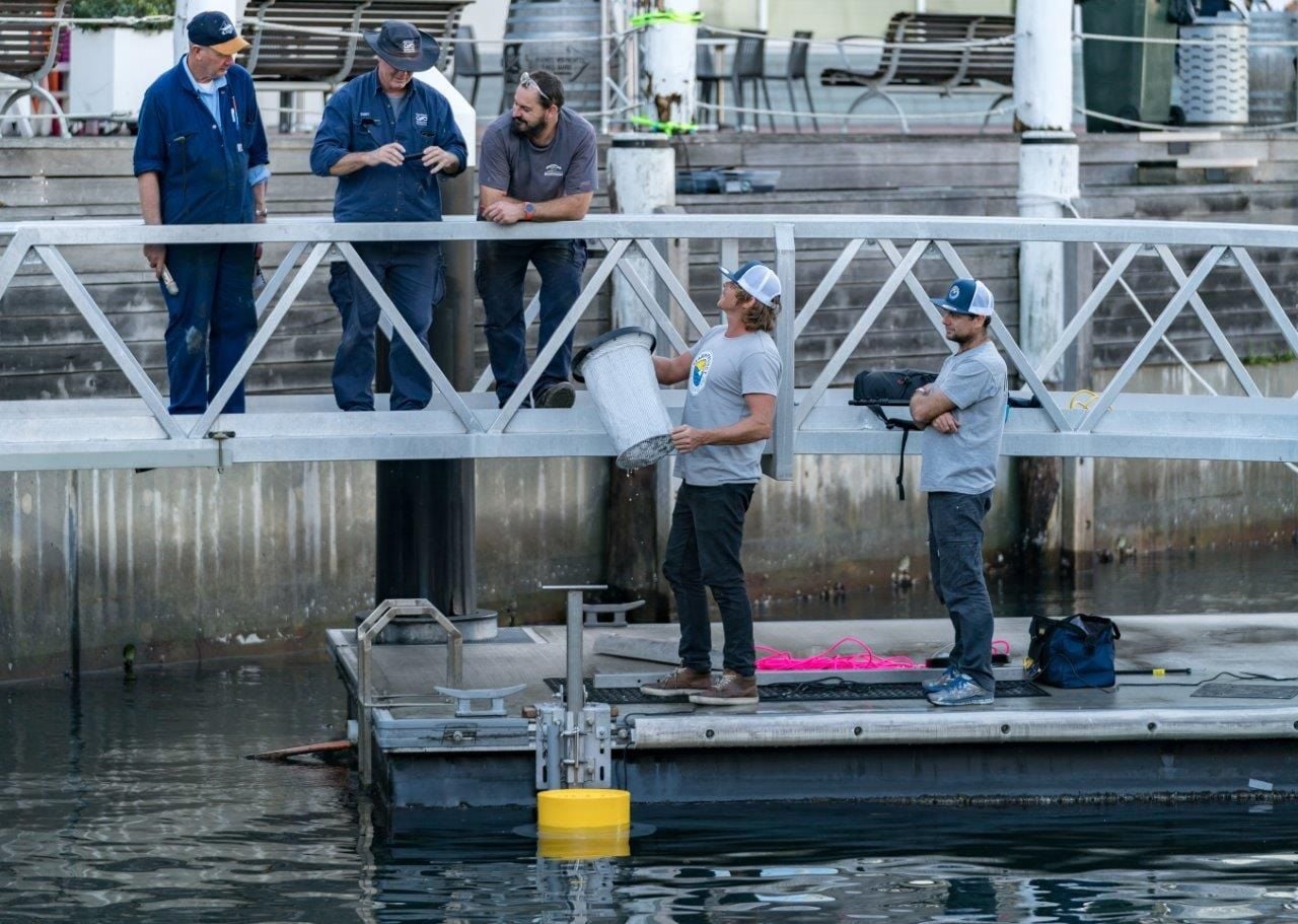 Seabin to raise another $1.2m for 'Smarter Cities - Cleaner Oceans' global roll-out