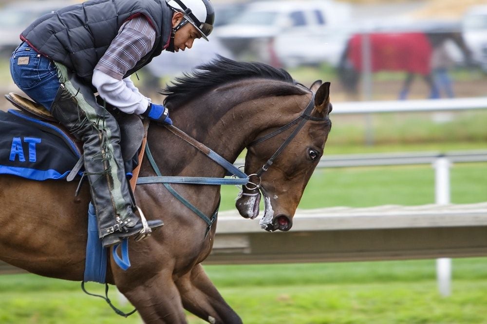 Apollo the latest horse in the race for Tabcorp's wagering and media business