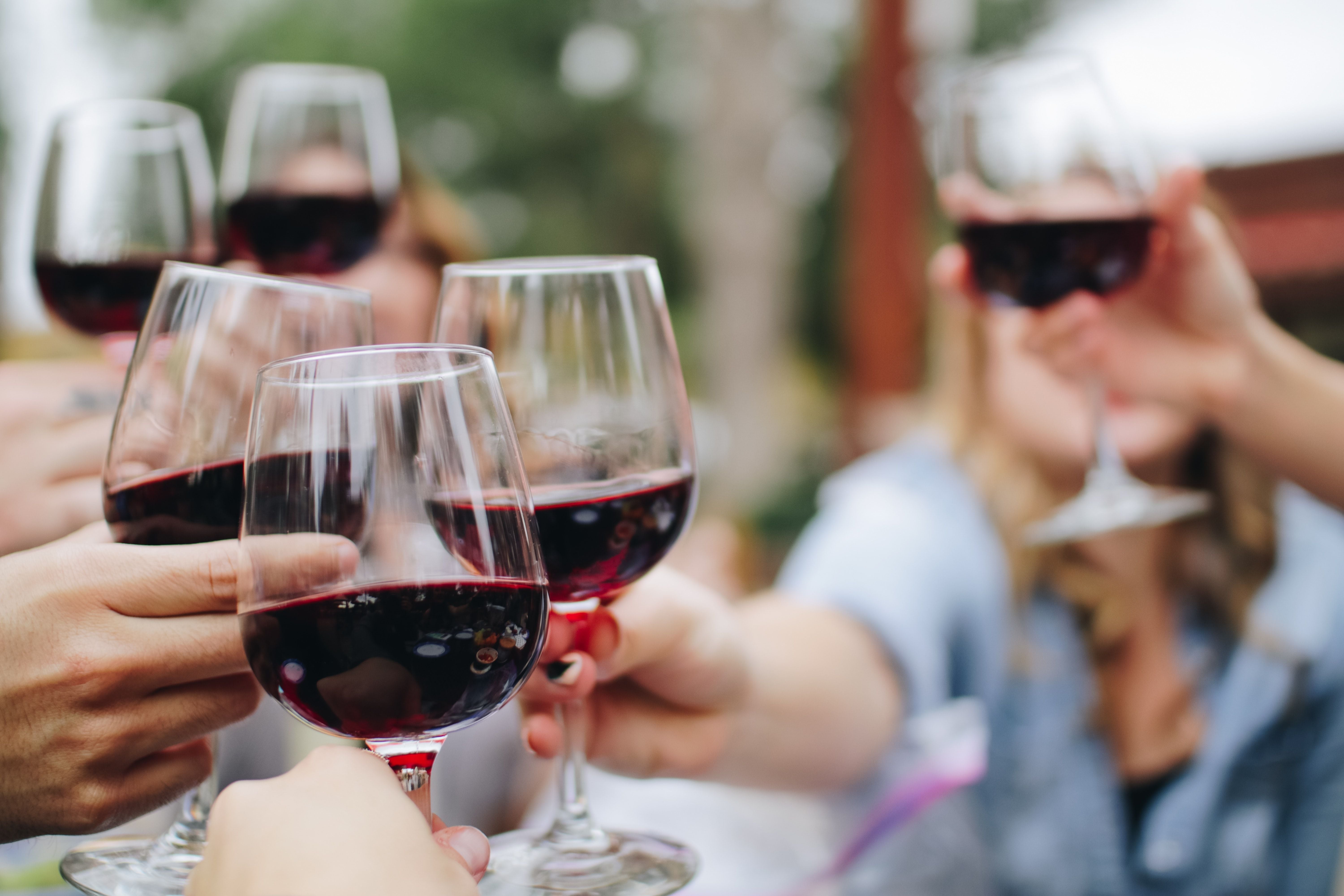 Treasury Wines shrugs off China woes as earnings recover