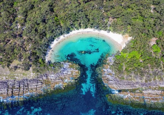 Jervis Bay on alert after COVID-infected Victorian went on camping trip Jervis Bay on alert after COVID-infected Victorian went on camping trip