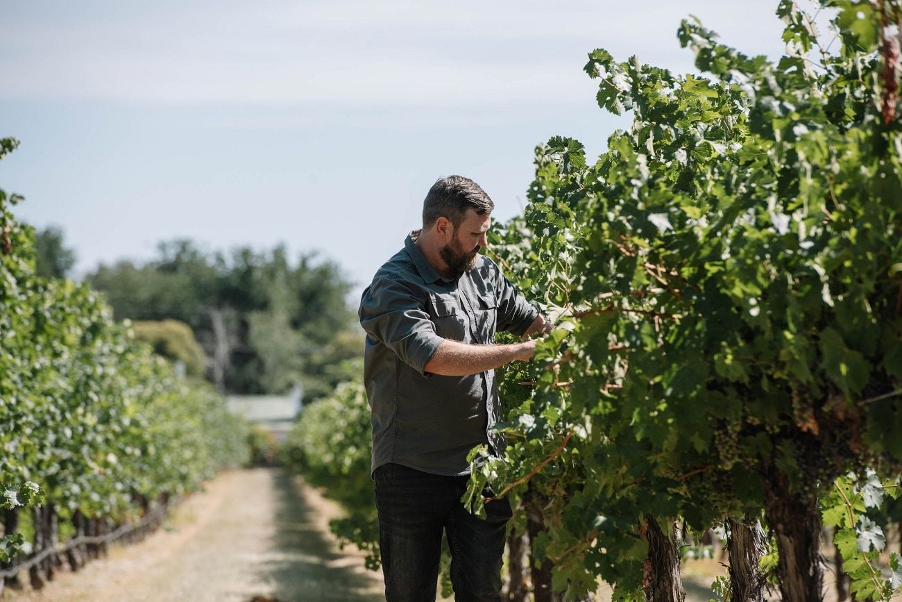 Aussie winemakers uncork new markets as Chinese tariffs force fresh pivot