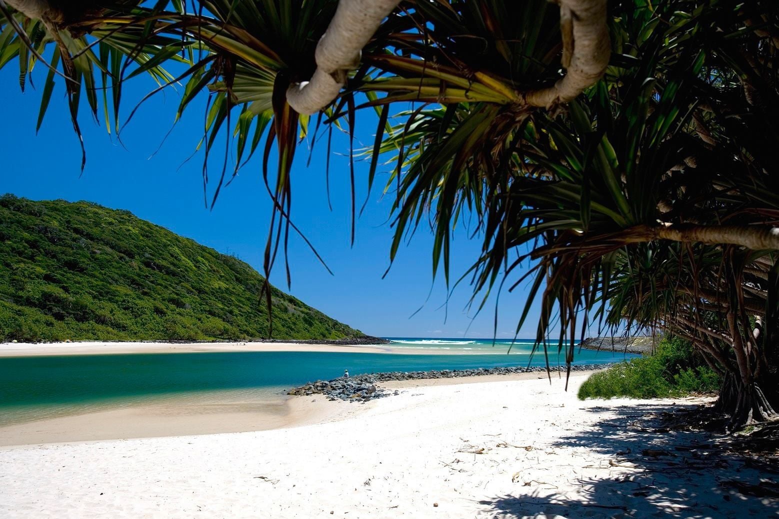 QLD Deputy Premier calls for local staycations as tourism operators hit by border closures QLD Deputy Premier calls for local staycations as tourism operators hit by border closures