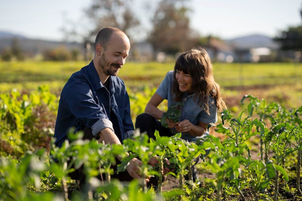 Merivale to open pop-up French bistro at The Whale Inn in Narooma this month
