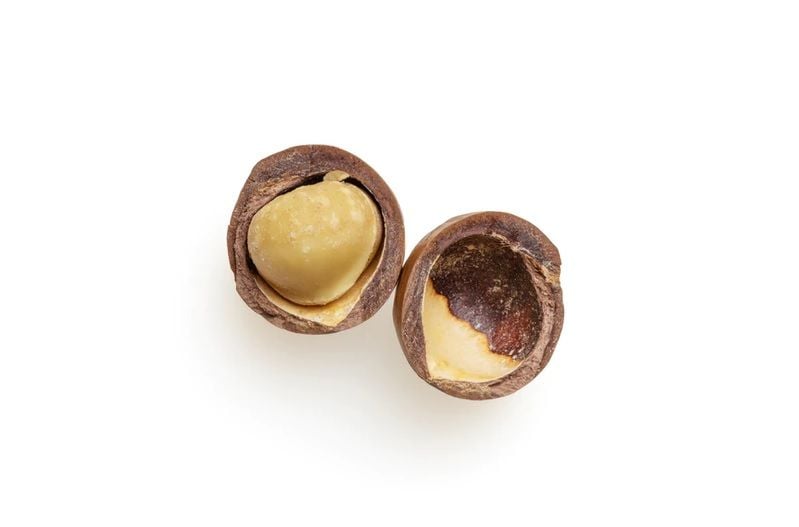 Rural Funds to raise $100m for macadamias, cattle and water