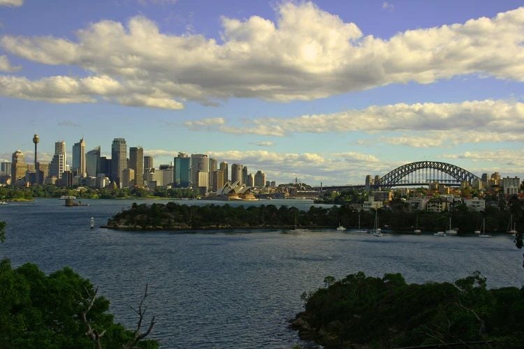 98 new cases for NSW as effects of harsher lockdown yet to be seen 98 new cases for NSW as effects of harsher lockdown yet to be seen