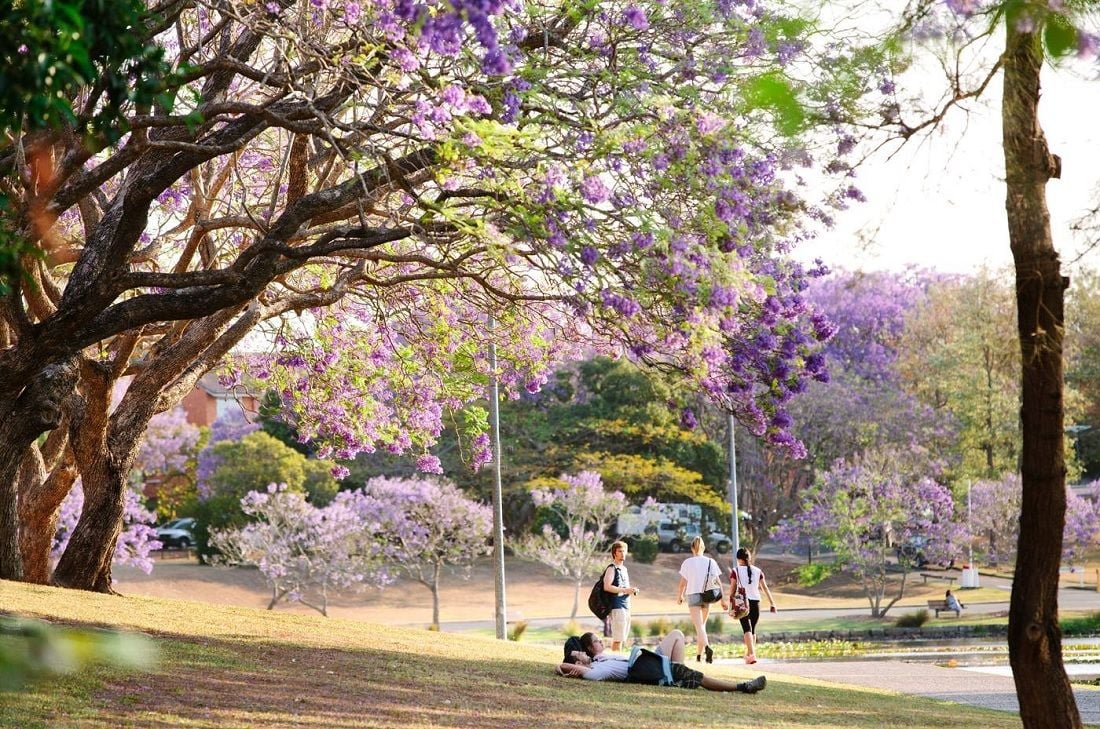 Universities praise TGA recognition of new vaccines to help international student recovery Universities praise TGA recognition of new vaccines to help international student recovery
