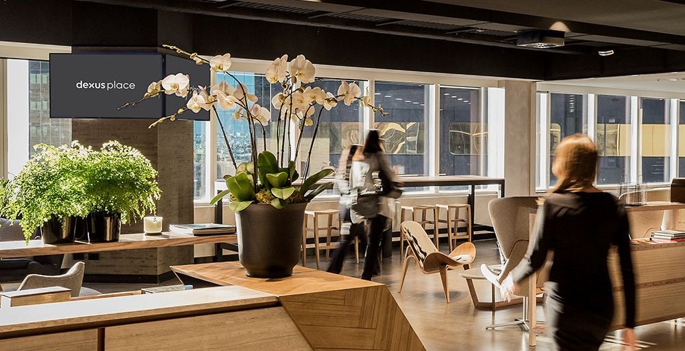 2021 Sydney Top Companies 21-30
