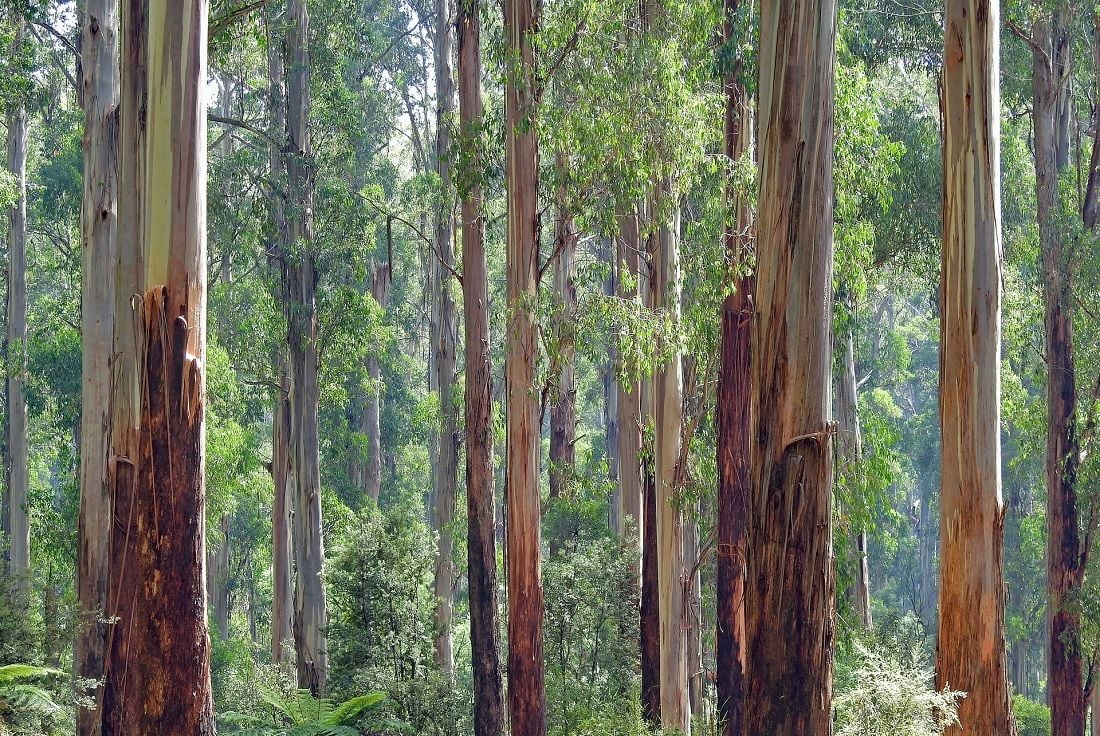 Corporate Australia taps into social conscience with a sharp rise in ESG reporting