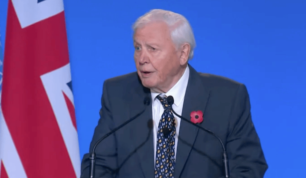 Sir David Attenborough calls on world leaders to act on climate crisis