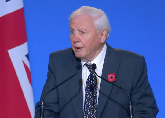 Sir David Attenborough calls on world leaders to act on climate crisis