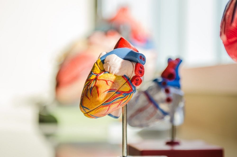 Aussie AI diagnostics med-tech Artrya takes heart from new UK NHS status