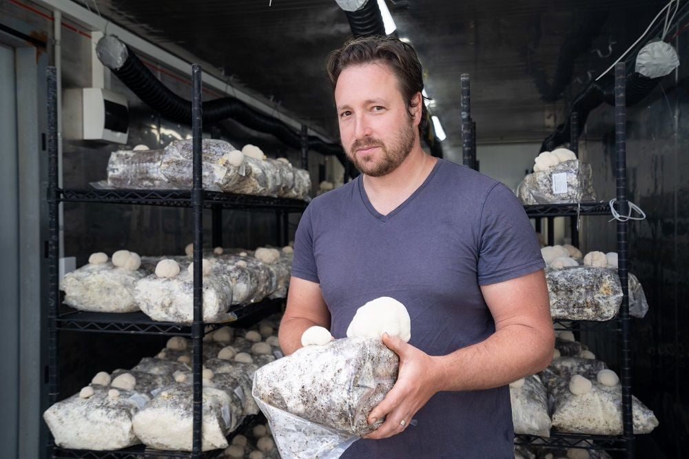 Forest Super Foods founder pulls the pin on crowdfunding raise