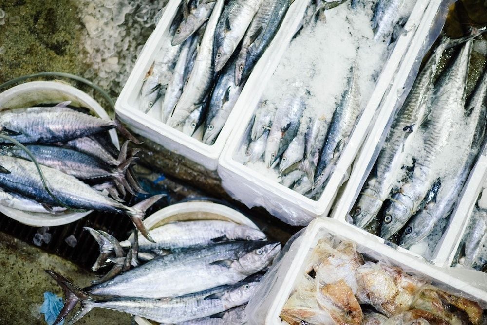 Circular economy company Close The Loop buys seafood packaging business for $3.25 million
