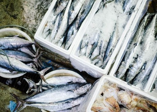 Circular economy company Close The Loop buys seafood packaging business for $3.25 million