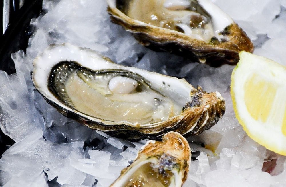 Fund manager Laguna Bay launches $32m takeover of SA oyster farmer Angel Seafood
